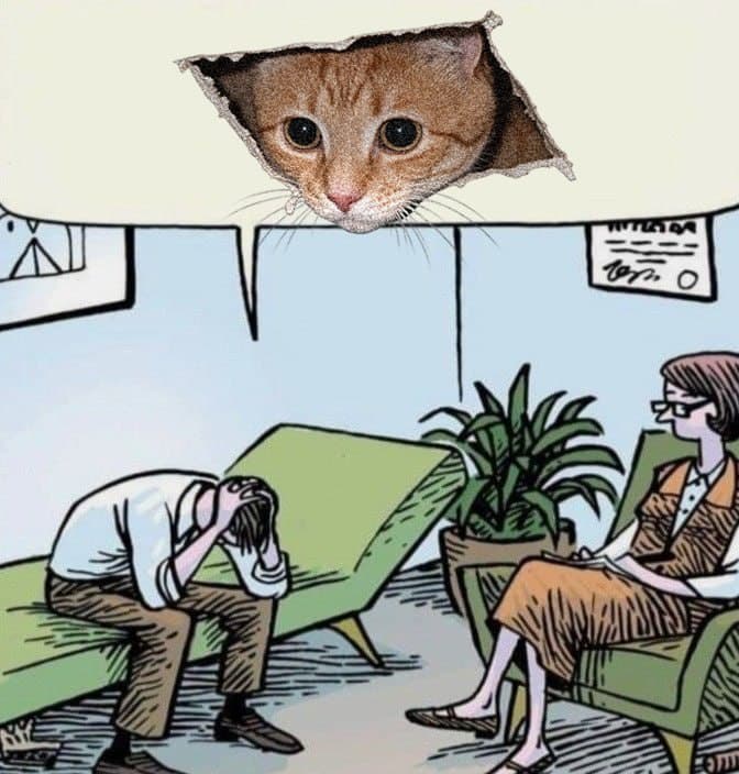 Ceiling Cat watching a therapy session